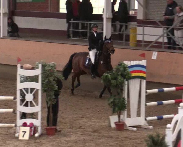 Reitturnier Alt Marl 2018