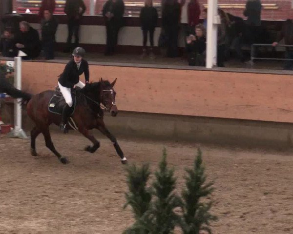Reitturnier Alt Marl 2018