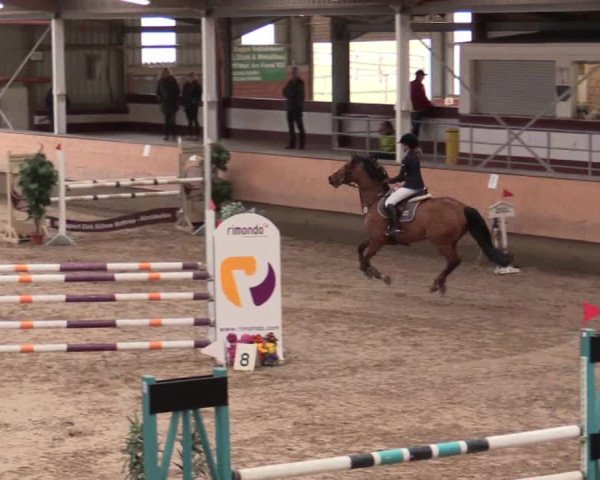 Reitturnier Alt Marl 2018