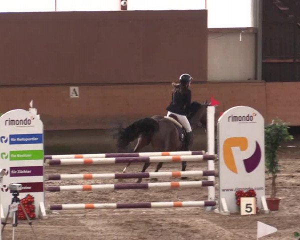 Reitturnier Alt Marl 2018