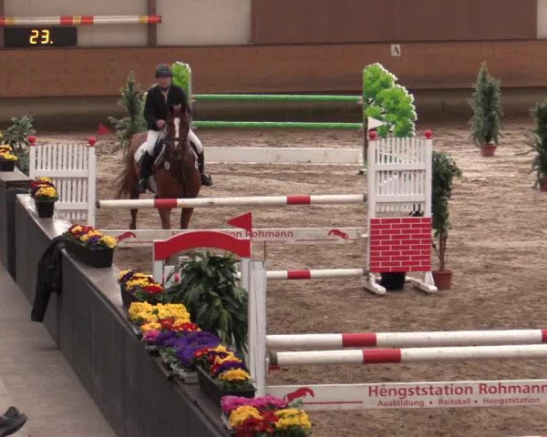 Reitturnier Alt Marl 2018