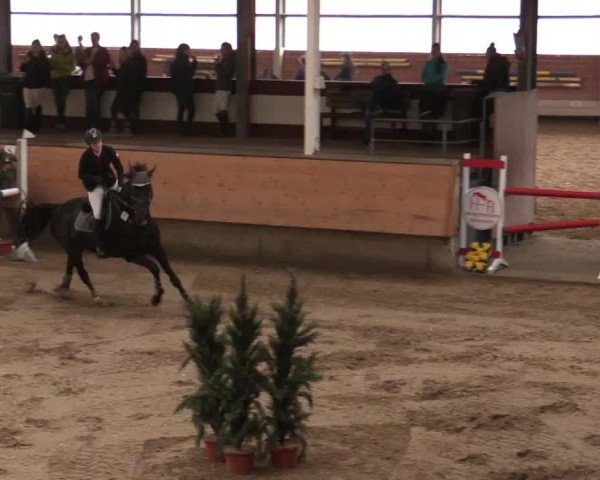Reitturnier Alt Marl 2018