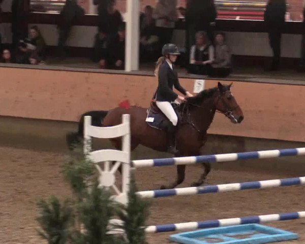 Reitturnier Alt Marl 2018