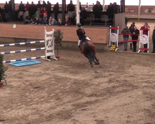 Reitturnier Alt Marl 2018
