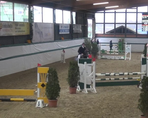 Reitturnier Monheim - Gut Blee 2018