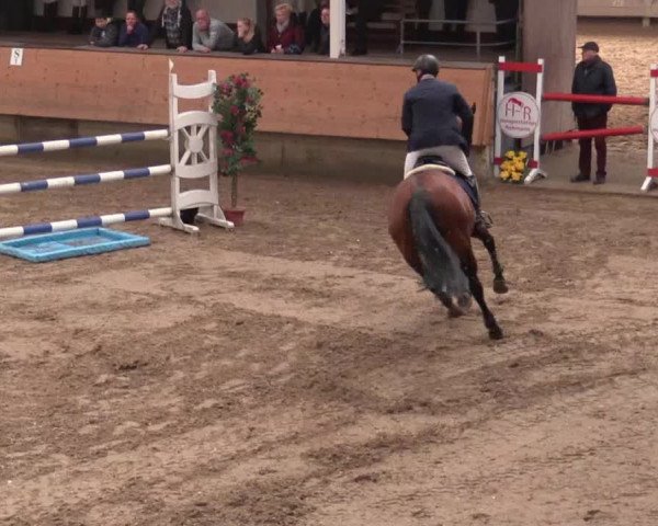 Reitturnier Alt Marl 2018