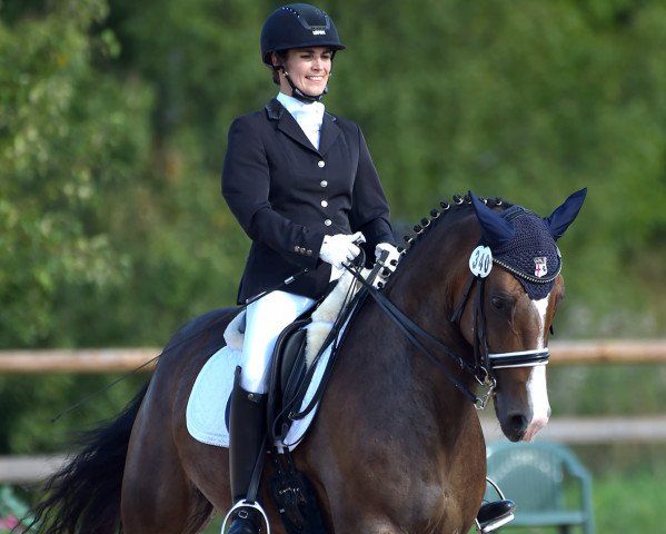 dressage horse Meck Raudi (German Riding Pony, 2006, from Proud Rocketti)