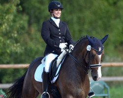 dressage horse Meck Raudi (German Riding Pony, 2006, from Proud Rocketti)
