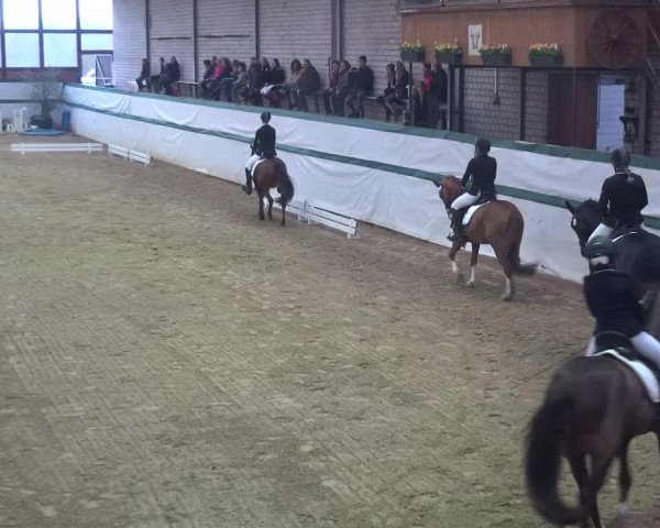 Reitturnier Monheim - Gut Blee 2018