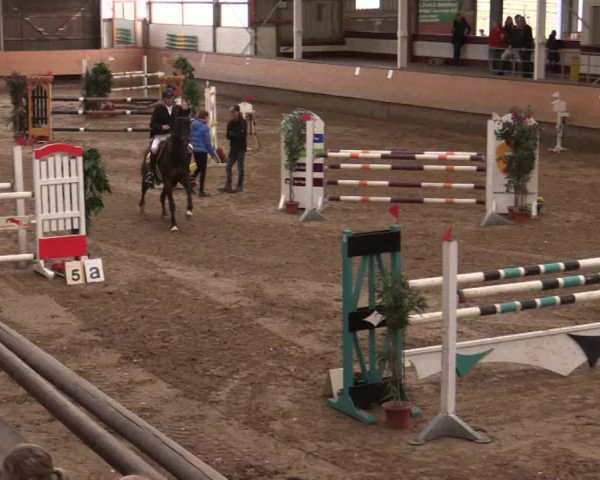 Reitturnier Alt Marl 2018