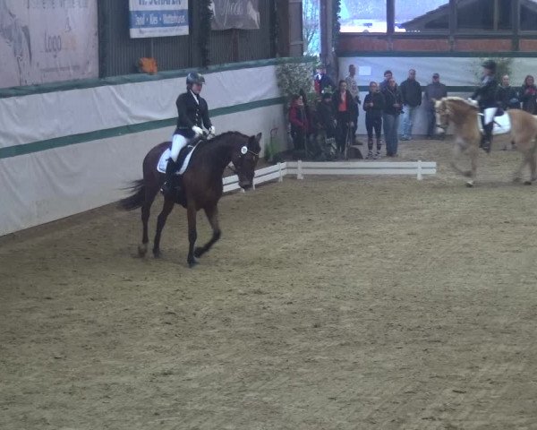 Reitturnier Monheim - Gut Blee 2018