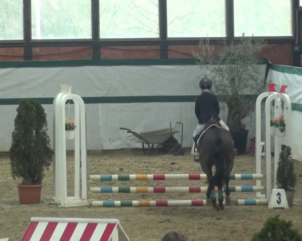 Reitturnier Monheim - Gut Blee 2018