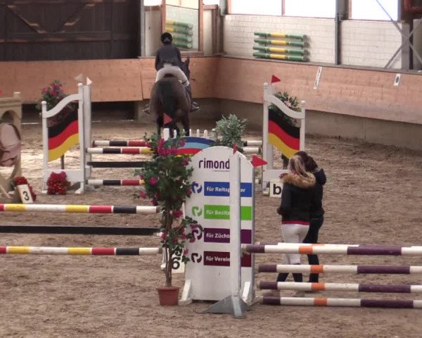Reitturnier Alt Marl 2018