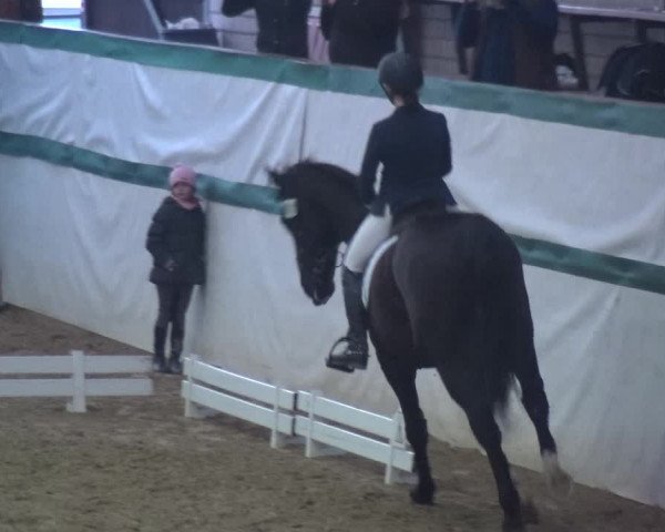 Reitturnier Monheim - Gut Blee 2018