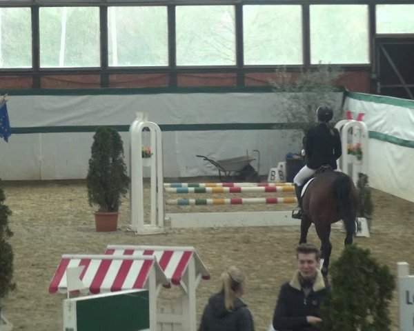 Reitturnier Monheim - Gut Blee 2018