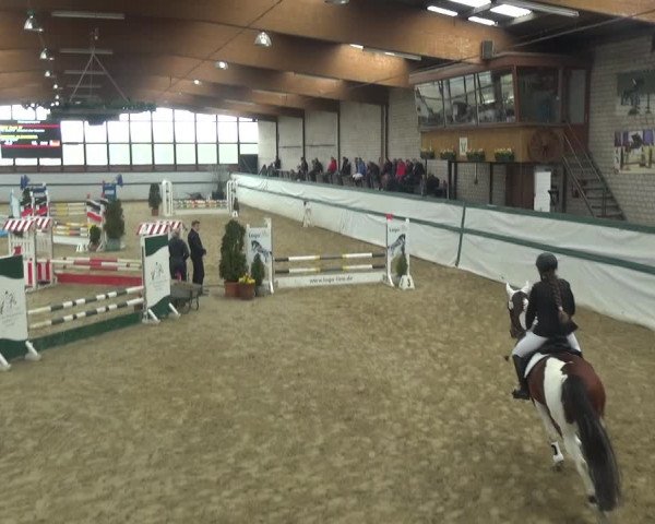 Reitturnier Monheim - Gut Blee 2018
