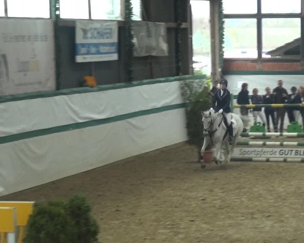 Reitturnier Monheim - Gut Blee 2018