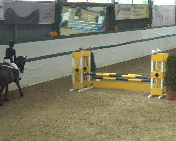 Reitturnier Monheim - Gut Blee 2018