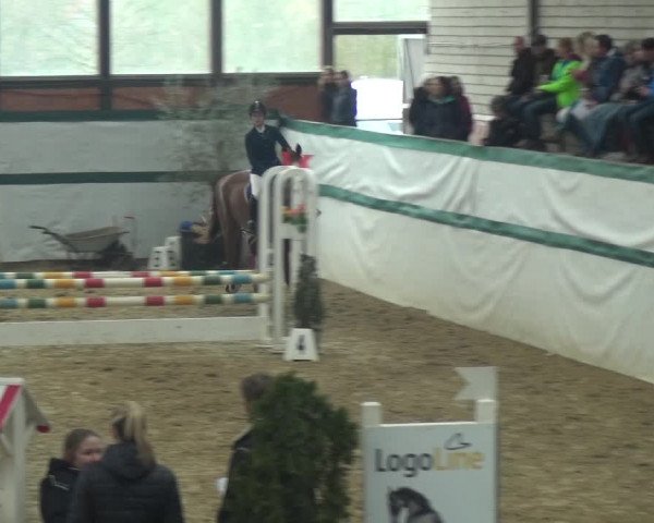 Reitturnier Monheim - Gut Blee 2018