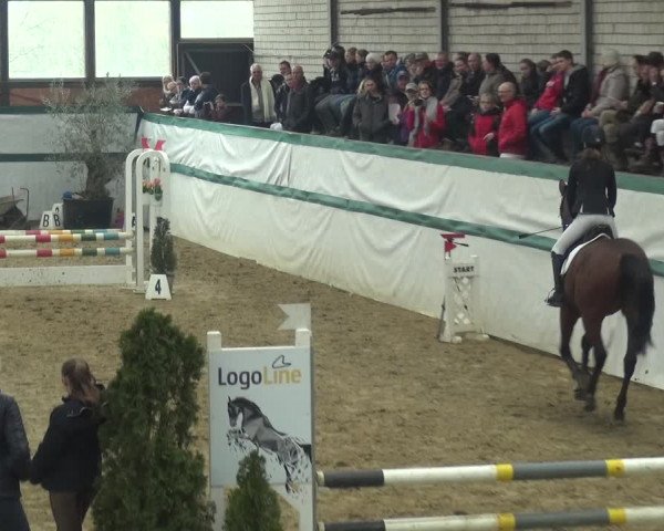Reitturnier Monheim - Gut Blee 2018