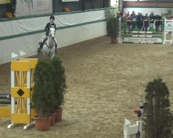 Reitturnier Monheim - Gut Blee 2018