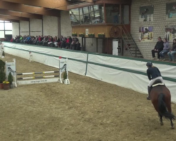 Reitturnier Monheim - Gut Blee 2018