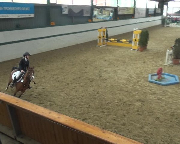 Reitturnier Monheim - Gut Blee 2018