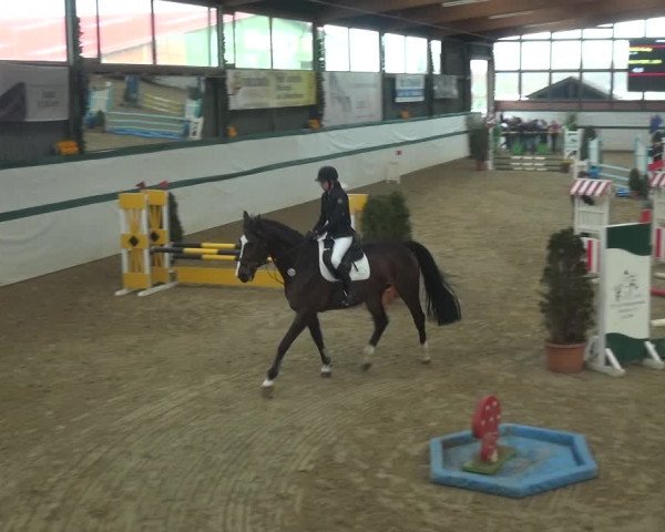 Reitturnier Monheim - Gut Blee 2018