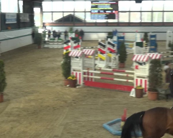 Reitturnier Monheim - Gut Blee 2018