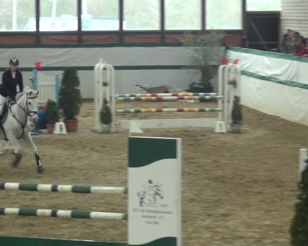 Reitturnier Monheim - Gut Blee 2018