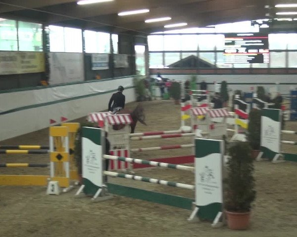 Reitturnier Monheim - Gut Blee 2018