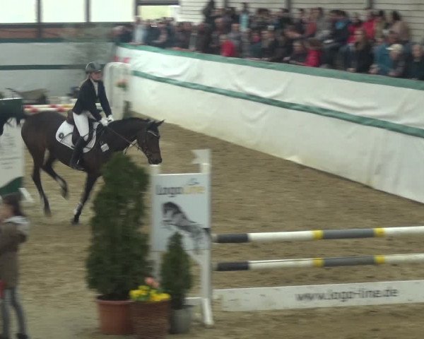 Reitturnier Monheim - Gut Blee 2018