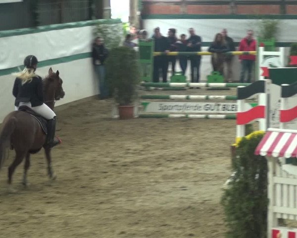 Reitturnier Monheim - Gut Blee 2018