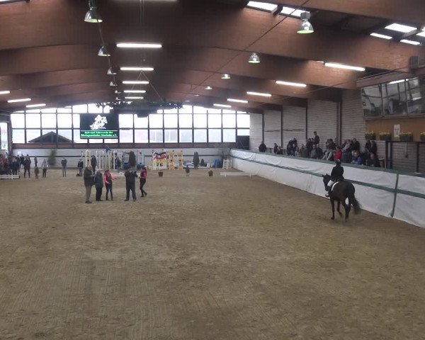 Reitturnier Monheim - Gut Blee 2018