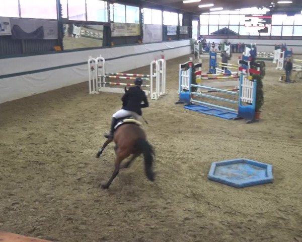 Reitturnier Monheim - Gut Blee 2018
