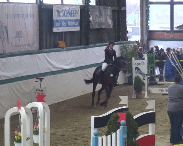 Reitturnier Monheim - Gut Blee 2018