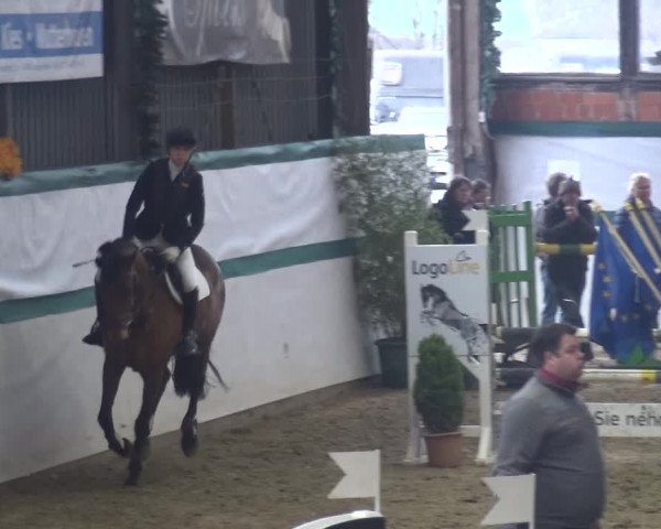 Reitturnier Monheim - Gut Blee 2018