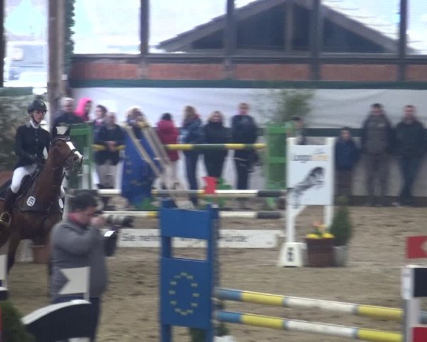 Reitturnier Monheim - Gut Blee 2018