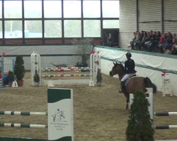Reitturnier Monheim - Gut Blee 2018