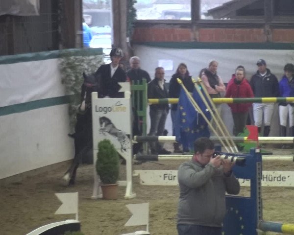 Reitturnier Monheim - Gut Blee 2018