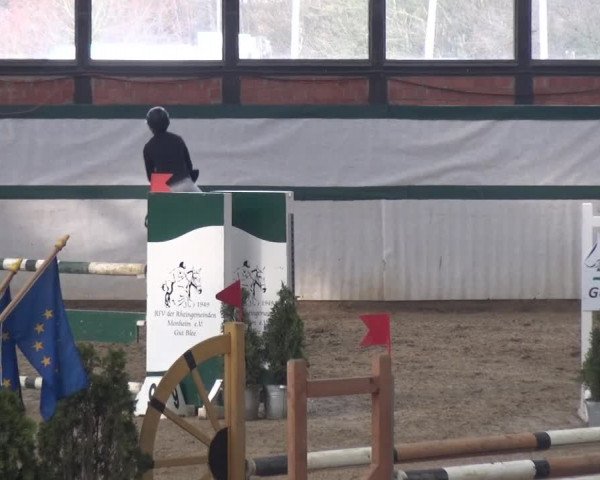 Reitturnier Monheim - Gut Blee 2018