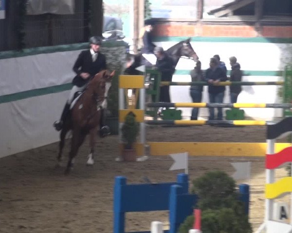 Reitturnier Monheim - Gut Blee 2018