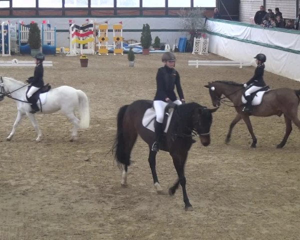 Reitturnier Monheim - Gut Blee 2018