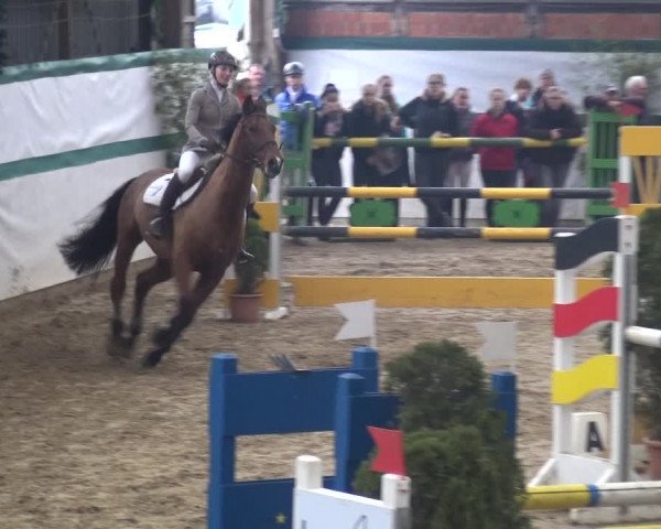 Reitturnier Monheim - Gut Blee 2018