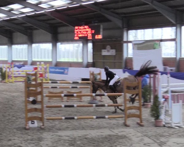 Reitturnier Greven 2018