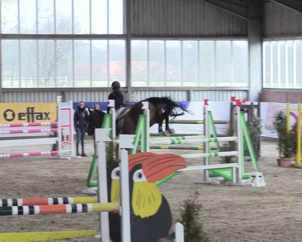 Reitturnier Greven 2018