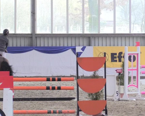 Reitturnier Greven 2018