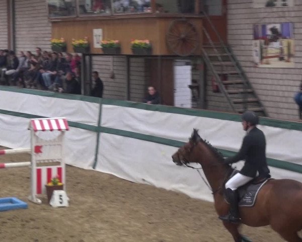 Reitturnier Monheim - Gut Blee 2018