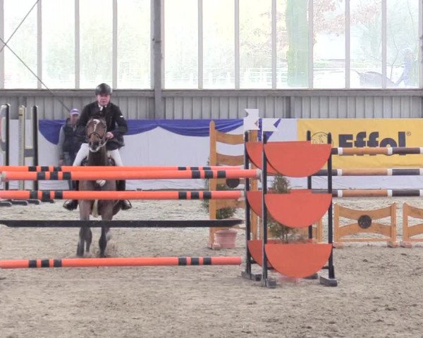 Reitturnier Greven 2018