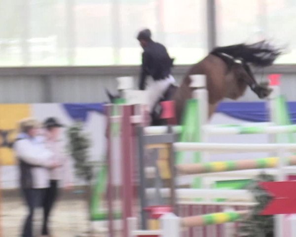 Reitturnier Greven 2018